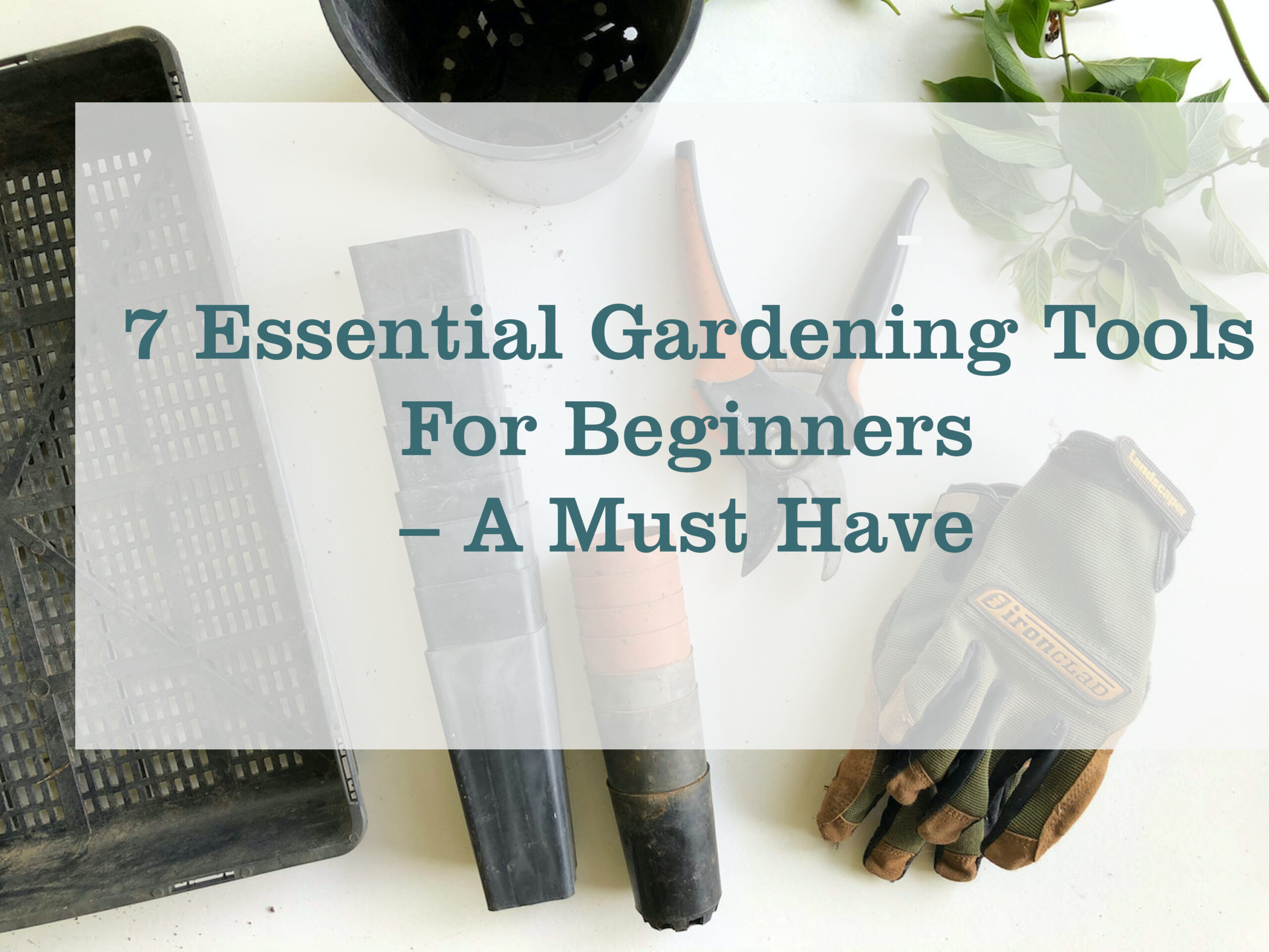 Essential Gardening Tools For Beginners