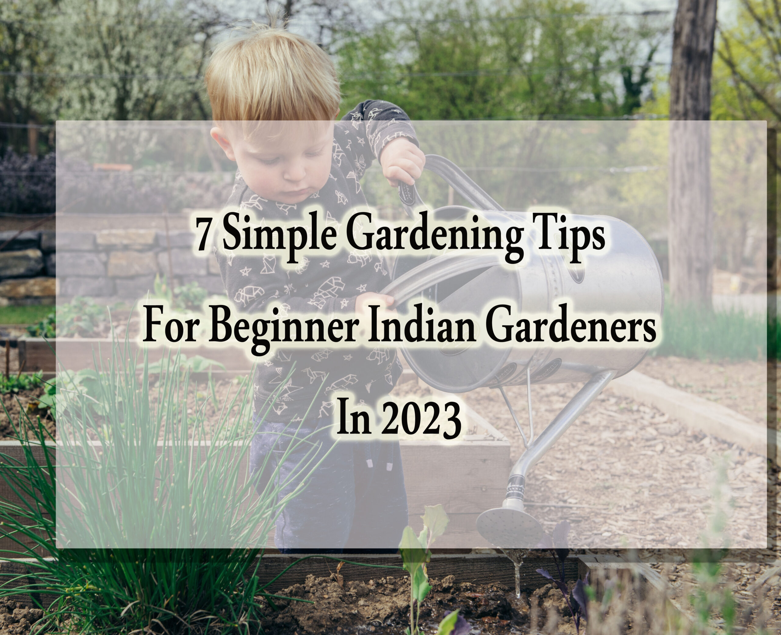 Gardening Tips For Beginners