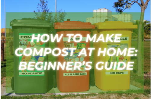 compost pit vs compost bin