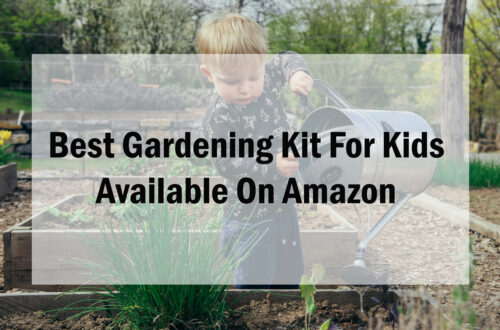 Best Gardening Kit For Kids Available On Amazon